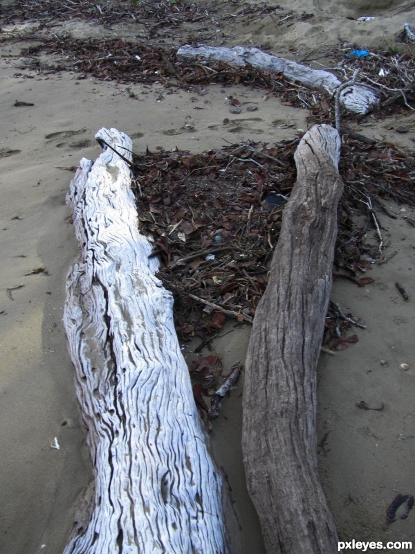 Driftwood